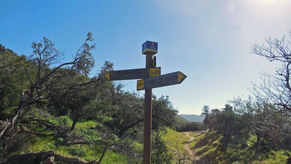 gran-canaria-wandern-03 - Kopie