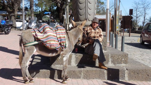 gran_canaria_eselmann